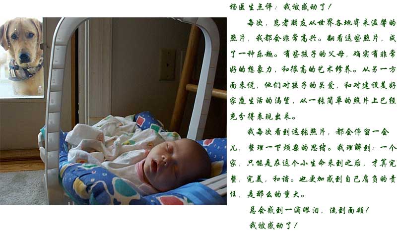 我被感動了